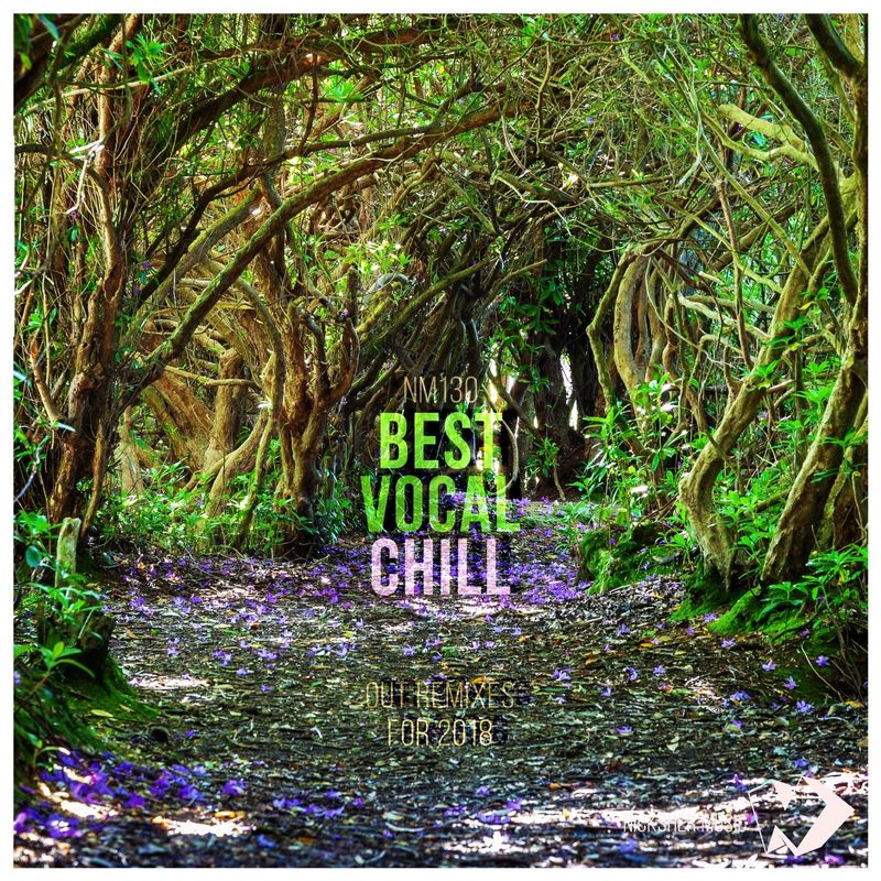 nicksher music《best vocal chill out remixes for 2018》cd级无损44.1