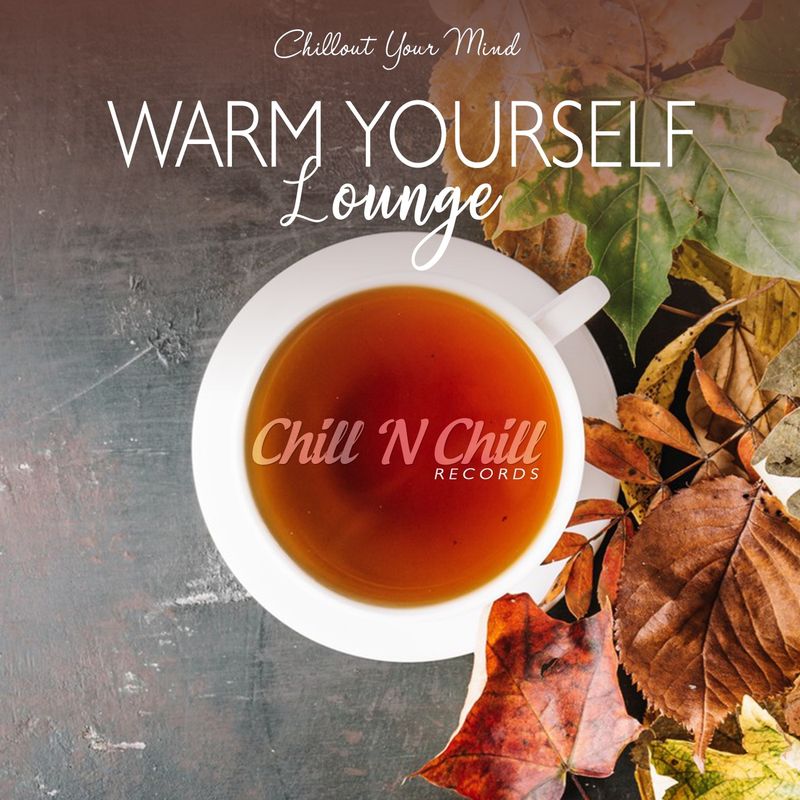 chill n chill records《warm yourself lounge ：chillout your mind》