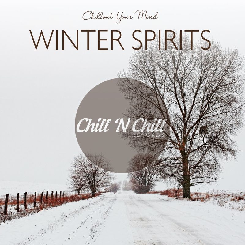 chill n chill records《winter spirits：chillout your mind》cd级无损