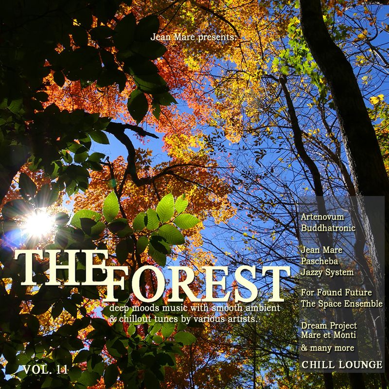 freebeat music records《the forest chill lounge vol. 11》cd级无损44