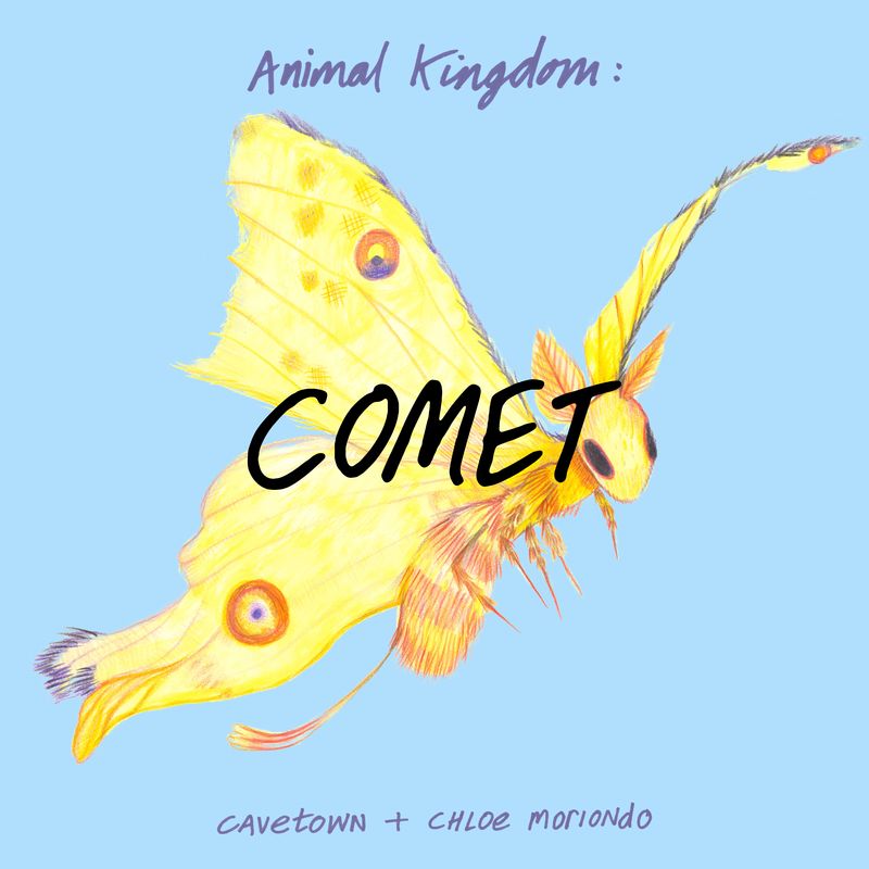 animal kingdom：comet《animal kingdom：comet》cd级无损44.1khz16bit